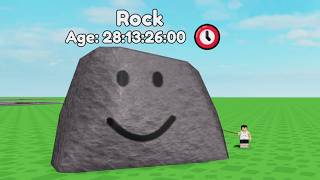 Waiting MONTHS to Grow PET ROCK!