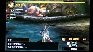 mh4g　初期装備～テツカブラ　ヘビィボウガン６