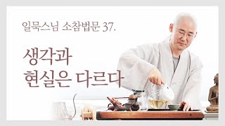 생각과 현실은 다르다ㅣ일묵스님ㅣ초기불교 제따와나선원 일요 소참법문 37.