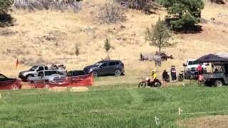 Bushy MX Race 14 - 2024