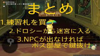 【ソロ用】ドラゴンクエストX　魔法の迷宮を高速周回（バトルなし）