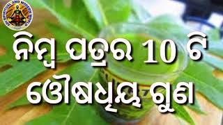 ନିମ୍ବ ପତ୍ର ଦେବ ଅନେକ ସମସ୍ୟାରୁ ମୁକ୍ତି , ନିଶ୍ଚୟ ଦେଖନ୍ତୁ