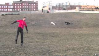 Flat ground Side flip