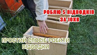 Роблю відводки на маточники! Відводків багато не буває! Швидко і просто!