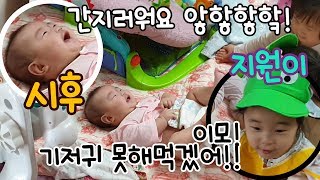 초보엄마 육아브이로그 _ 6살누나(조카)의 1살동생 기저귀 갈기ㅋㅋㅋ/4개월아기