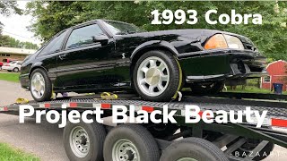 RARE FOXBODY MUSTANG PROJECT CAR - 1993 Mustang Cobra - WHAT DOES IT NEED? - PROJECT BLACK BEAUTY