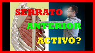 💪🏼Músculo SERRATO ANTERIOR: Lo tienes activo🤔? Seguro?🤗