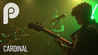 Cardinal | Full Performance | Live @ Pertum Studio