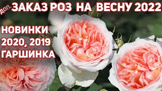 Заказ роз на ВЕСНУ 2022 на Гаршинка. Розы новинки 2020, 2019 г и топовые еще в наличии.