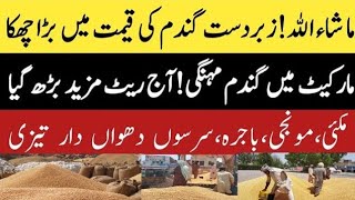 Gandam Rate Today/Wheat Price today in punjab/ Makki ka rate today punjab/munji rate today sarson