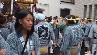 令和元年　お祭り散歩　東向島　白鬚神社　例大祭　ほんまつり　本社神輿拾参番　西図子　神輿渡御　2019.6.9