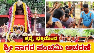 ಶ್ರದ್ಧೆ, ಭಕ್ತಿಯಿಂದ ಶ್ರೀ ನಾಗರ ಪಂಚಮಿ ಆಚರಣೆ| NAGARA PANCHAMI | PLAYNOWDAILY