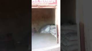 नाॅगु मार्केट सुजान नगर जूना पतरासर