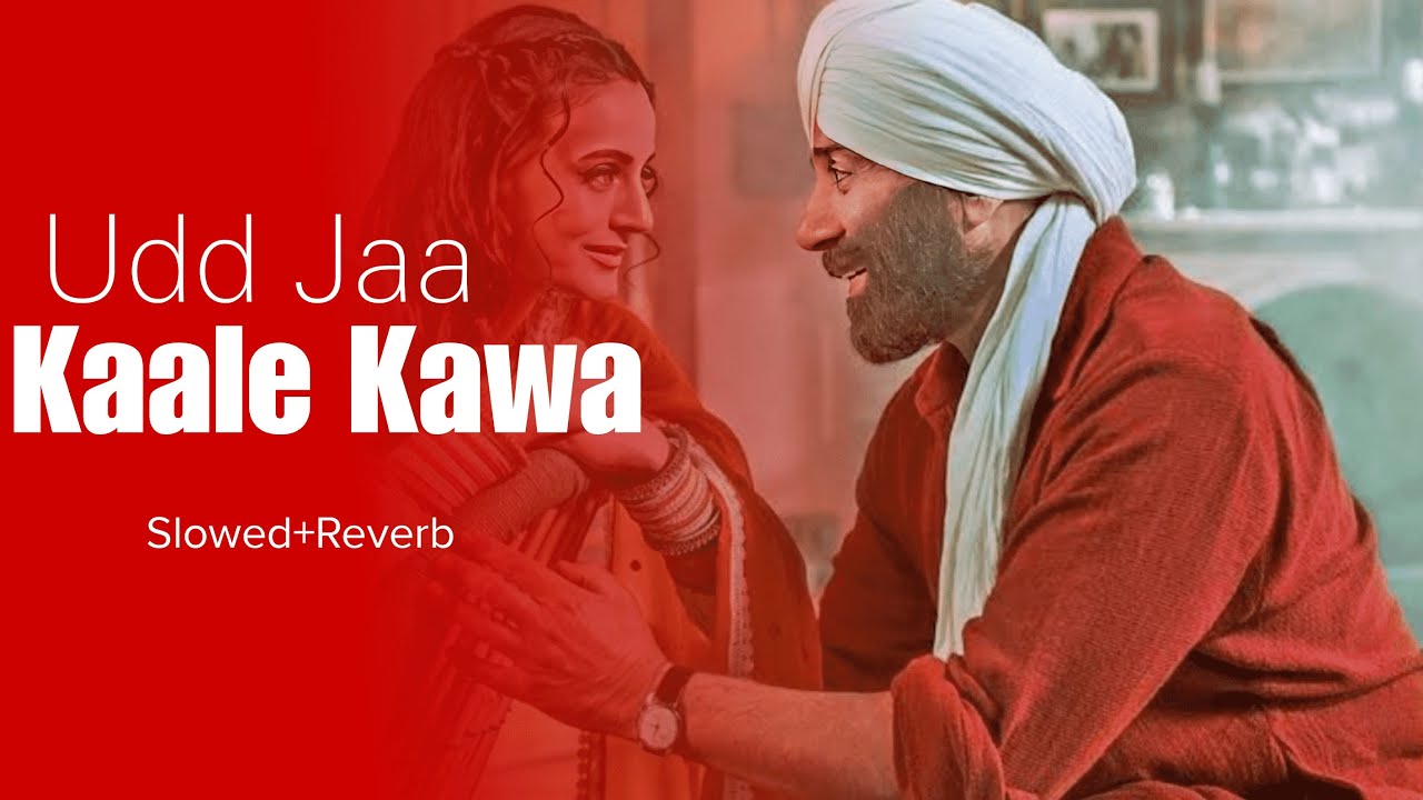 Udd Jaa Kaale Kaava | Gadar 2 | Sunny Deol, Ameesha | Mithoon, Udit N ...