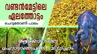 വണ്ടൻമേട് ഏലത്തോട്ടം | മഹാഗണപതി | ചെറുതോണി പാലം | Vandanmedu caradom | cheruthoni bridge l Aamayar