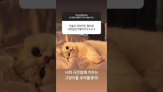 210127 요섭 인스타스토리 무물 1