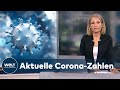 AKTUELLE CORONA-ZAHLEN: 23 804 Neuinfektionen und 219 Todesfälle vom RKI registriert