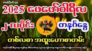 တနင်္ဂနွေသားသမီးများအတွက် 2025 ခုနှစ် (၂) လပိုင်း၊ ဖေဖော်ဝါရီလ တစ်လစာ အထူးဟောစာတမ်းနှင့် ယတြာ