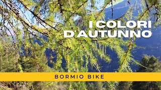 Ables in mtb a Bormio | BormioBike