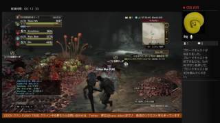 DDON　５倍サポ使ってみる！（今さら）後編