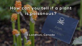 How can you tell if a plant is poisonous?