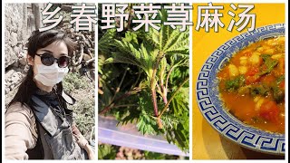 Nettle Soup ： healthy wild edible greens教程vlog：乡春野菜荨麻汤---欧洲乡下vlog（采摘荨麻）