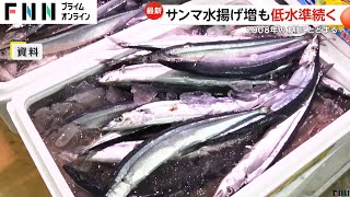 サンマ水揚げ量が低水準続く…2年連続増加も2008年の1割にとどまる　大型船の漁解禁が早まったことなど影響か