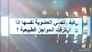 أظهر مميزات الخط الدفاعي الثاني للعضوية 4 متوسط