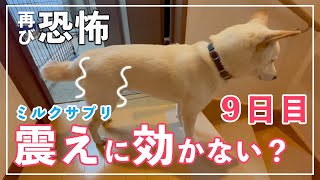 【ミルクサプリ9日目】震えに効果ない？再び恐怖がやってきた(ジルケーン)