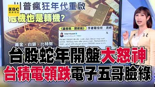 台股蛇年開紅盤失靈！「台積電領跌」電子五哥也臉綠 @57ETFN