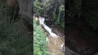 காட்டேரி நீர்வீழ்ச்சி/குன்னூர்/The nilgiris /ooty road/15.7.22