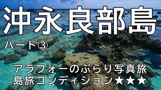 【沖永良部島】アラフォーの気ままな写真旅（パート3）