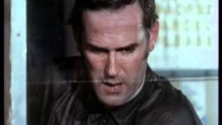 Monty Python Fish Licence