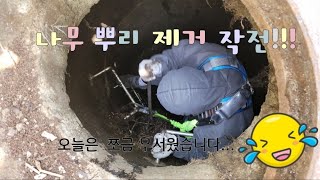 나무 뿌리 캐러드갑니다.^^#대전하수구막힘 #세종하수구막힘 #대전고압세척 #drain #drainer #대전일프로하수구