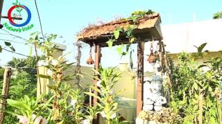 Terrace Gardening | How to Grow a Vertical Garden | RaghothamaReddy-9