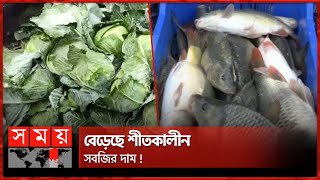 সরবরাহ ভাল থাকায় জমজমাট নওগাঁর মাছের আড়ত | Vegetable Market | Fish Bazar | Thakurgaon | Naogaon News