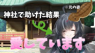 【ゆっくり茶番劇】放浪者が神社で蛇を助けたら人の姿になって惚れられた⁉