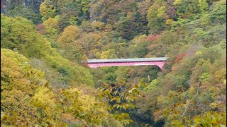 2馬力ミニボートで遊ぶ 新潟三面ダム（二子島森林公園）