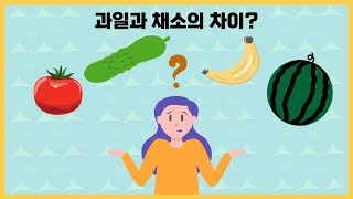 과일인지 채소인지 분류하는 것 가지고 법정 다툼까지 갔다고? 과일과 채소의 차이!