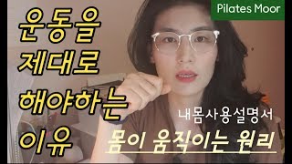 운동을 제대로 해야 하는 이유|  인체 사용 설명서/ 인생 필라테스 무어