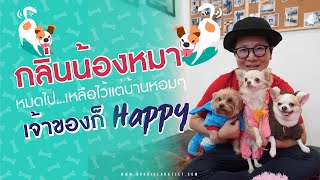 กลิ่นน้องหมาหมดไป.. เหลือไว้แต่บ้านหอมๆ.. เจ้าของก็ Happy !!