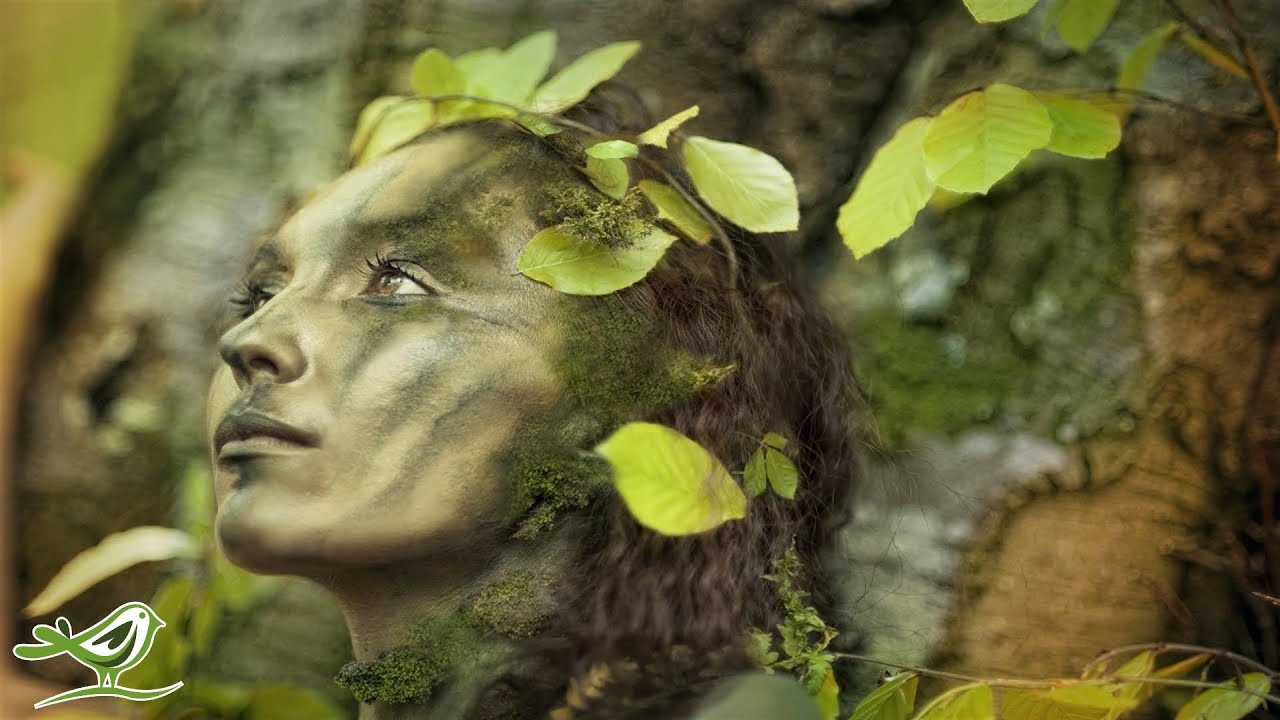 Peder B Helland Dance Of Life Youtube Music