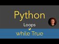 Python | Loops - while true (29/29)