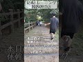 【ボクシング】20240917②トレーニング【階段ダッシュ】 shorts ボクシング 大家族 格闘技