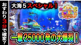 【697日目】新台大海物語5スペシャル実践動画！ショボ連を耐え抜いた先に大連チャンが？！（ガチ実践動画2024/11/29）