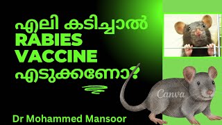 എലി കടിച്ചാൽ rabies vaccine എടുക്കണോ? Rat Bite! Dr Mansoor