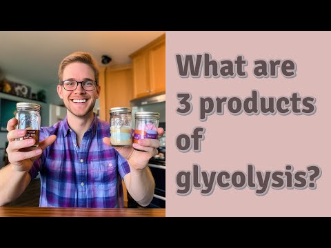 What are three products of glycolysis?