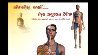 Paramartha Lokaya  DVD 01 -Time  3 Hours 21 Minutes SD Quality  පරමාර්ථ ධර්ම විග්‍රහය