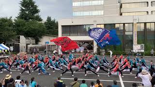 武州武蔵『番 (つがい) ～龍虎～』／第45回 富士見祭り（2024/08/24）@朝霞市役所 正面広場