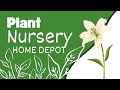 IS Home Depot the BEST Place to Buy Plants in Canada? ! Plant Shopping Canada